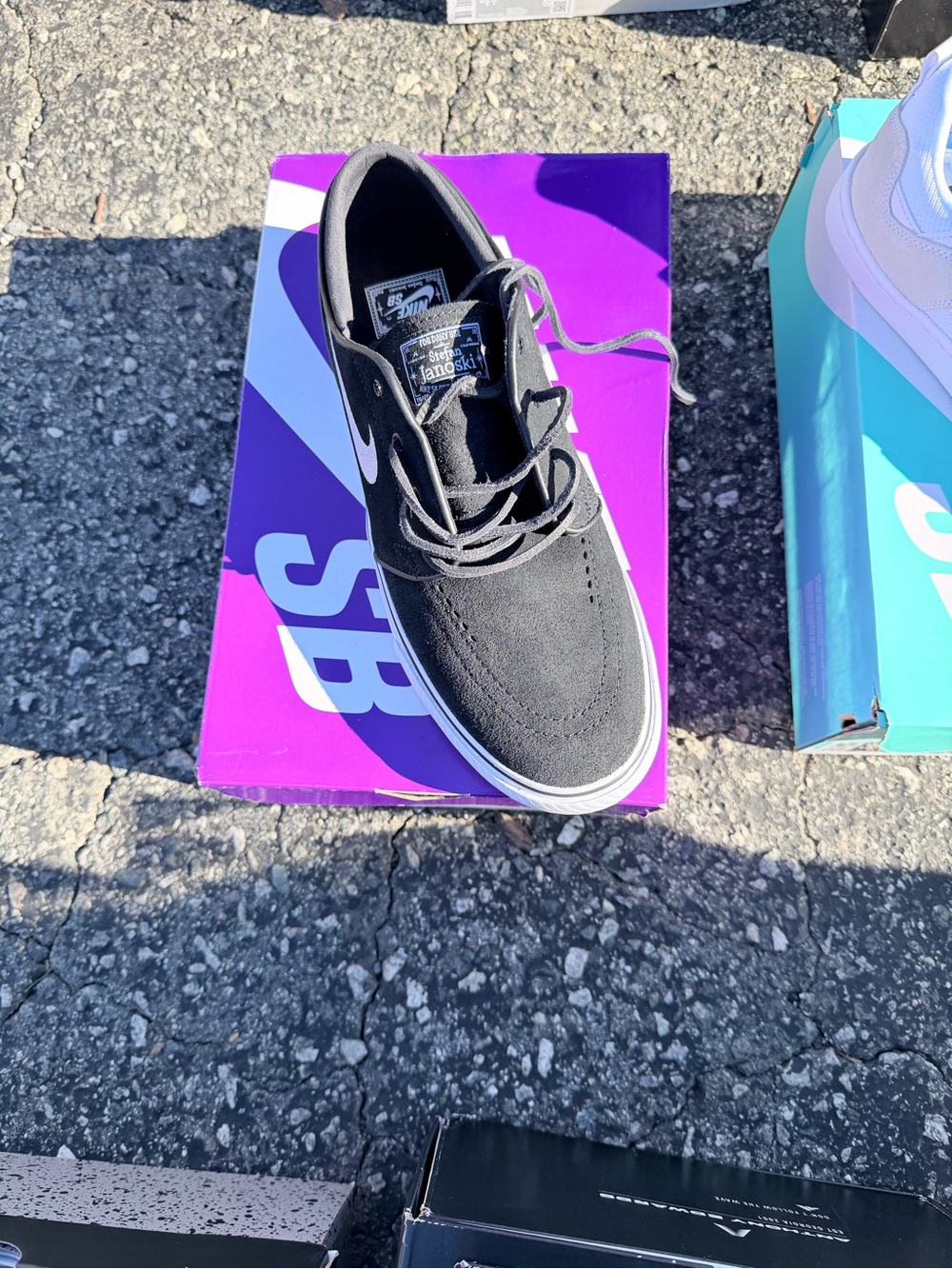 Nike Black Canvas Skate Sneakers with White Swoosh